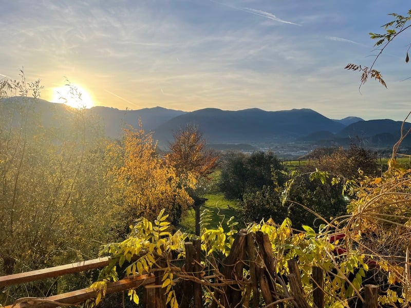 Vue de la nature depuis le cabinet